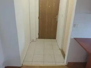 Pronájem bytu 1+1, Děčín - Děčín VI-Letná, Fibichova, 44 m2