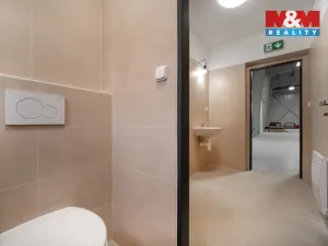 Pronájem skladu, Cerekvice nad Loučnou - Pekla, 794 m2