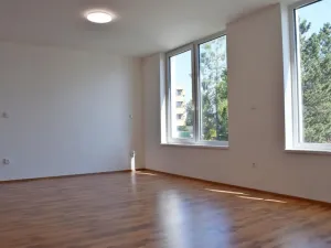 Pronájem bytu 1+kk, Boskovice, Otakara Kubína, 41 m2