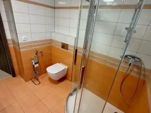 Pronájem bytu 2+kk, Plzeň, Kotíkovská, 56 m2