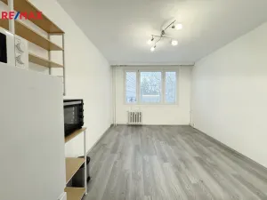 Pronájem bytu 1+kk, Praha - Braník, Nad lesním divadlem, 23 m2