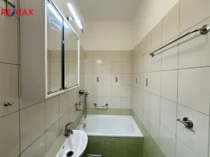 Pronájem bytu 1+kk, Praha - Braník, Nad lesním divadlem, 23 m2