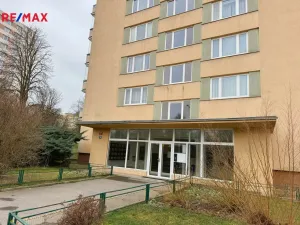 Pronájem bytu 1+kk, Praha - Braník, Nad lesním divadlem, 23 m2