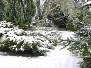 Prodej rodinného domu, Výrava, 246 m2