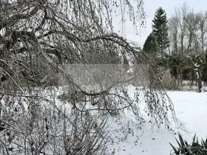 Prodej rodinného domu, Výrava, 246 m2