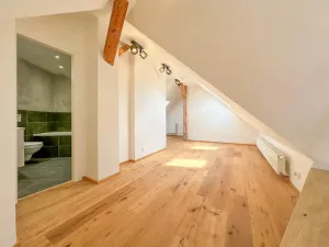 Pronájem bytu 3+kk, Praha - Dejvice, Pod kaštany, 103 m2