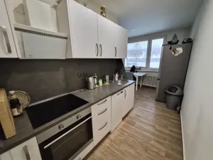 Prodej bytu 1+1, Litoměřice - Předměstí, Odboje, 46 m2