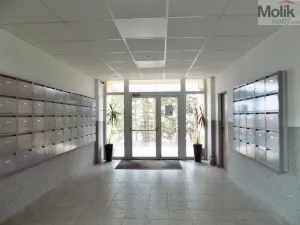 Prodej bytu 3+1, Ústí nad Labem - Ústí nad Labem-centrum, Malátova, 74 m2