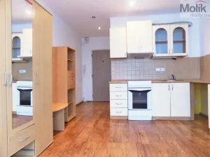 Prodej bytu 1+kk, Ústí nad Labem - Ústí nad Labem-centrum, Hoření, 21 m2