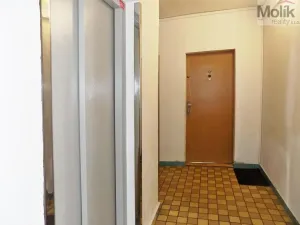 Prodej bytu 1+kk, Ústí nad Labem - Ústí nad Labem-centrum, Hoření, 21 m2