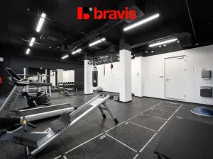 Pronájem bytu 1+kk, Brno - Trnitá, Dornych, 22 m2