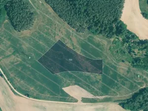 Prodej pole, Kralovice, 11359 m2