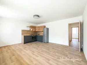 Pronájem bytu 3+kk, Praha - Záběhlice, Jetelová, 66 m2