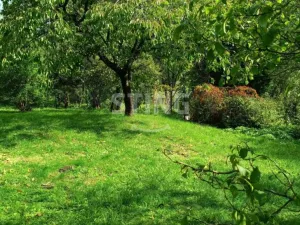 Prodej zahrady, Mladecko, 692 m2