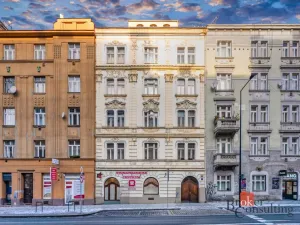 Prodej bytu 2+kk, Praha - Žižkov, Hartigova, 55 m2
