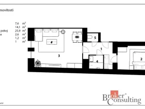 Prodej bytu 2+kk, Praha - Žižkov, Hartigova, 55 m2