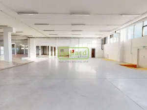 Pronájem obchodního prostoru, Litoměřice - Předměstí, Želetická, 1609 m2