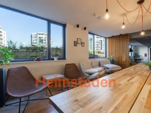 Pronájem bytu 1+kk, Plzeň - Jižní Předměstí, Magisterská, 28 m2