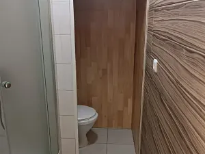 Pronájem bytu 1+1, Chomutov, Kyjická, 36 m2