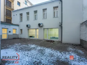 Prodej bytu 3+1, Praha - Žižkov, Hartigova, 84 m2