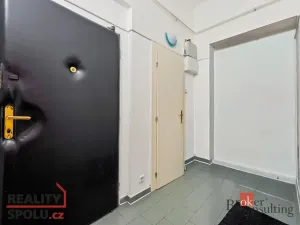 Prodej bytu 3+kk, Praha - Žižkov, Hartigova, 74 m2