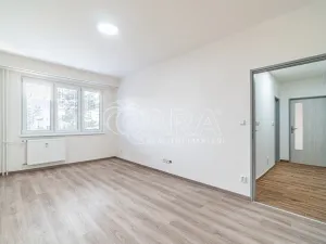 Pronájem bytu 2+1, Kralupy nad Vltavou - Lobeček, Dr. E. Beneše, 53 m2