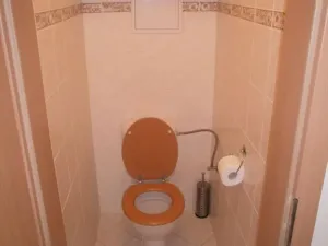 Pronájem bytu 2+1, Olomouc, Josefa Beka, 57 m2