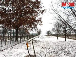 Prodej pole, Starý Poddvorov, 4096 m2