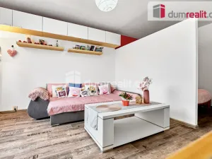 Prodej bytu 2+1, Ostrov, Lidická, 62 m2