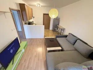 Pronájem bytu 2+kk, Tursko, U Potoka, 39 m2