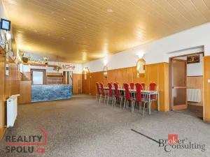 Prodej rodinného domu, Týniště nad Orlicí, V Sítinách, 395 m2