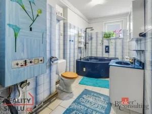 Prodej rodinného domu, Týniště nad Orlicí, V Sítinách, 395 m2