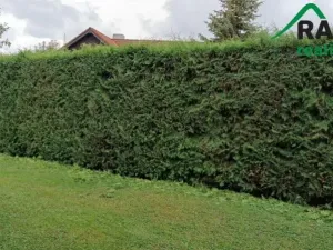 Prodej chalupy, Javorník, 80 m2