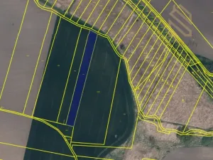 Prodej pole, Vrbice, Hlavní, 7211 m2