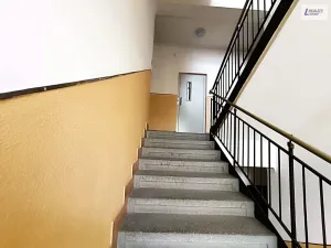 Pronájem bytu 1+kk, Praha - Vinohrady, Hradešínská, 32 m2