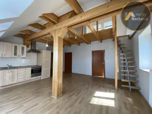 Pronájem bytu 3+kk, Kladno, Máchova, 150 m2