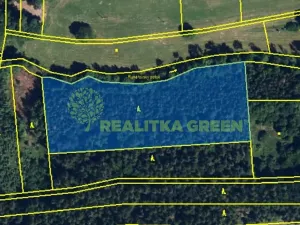 Prodej lesa, Konice, 10385 m2