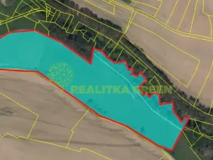 Prodej lesa, Světlá nad Sázavou, 48055 m2