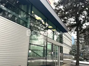 Pronájem kanceláře, Brno, Purkyňova, 50 m2