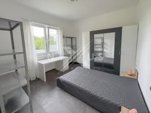 Pronájem bytu 4+kk, Krakovany, 140 m2