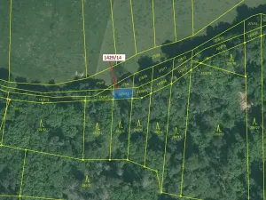 Dražba pozemku, Milavče, 80 m2