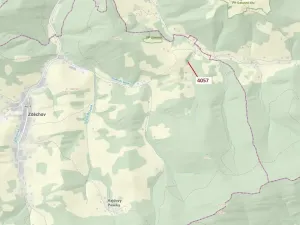 Dražba lesa, Zděchov, 435 m2