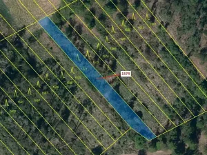 Dražba lesa, Březník, 885 m2