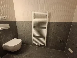 Pronájem bytu 1+kk, Brno, Bratislavská, 39 m2