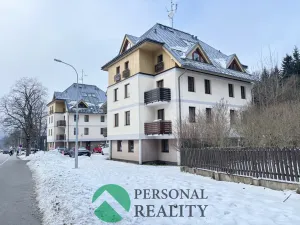 Prodej bytu 1+1, Deštné v Orlických horách, 30 m2