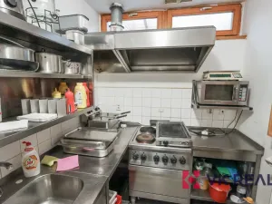 Prodej komerční nemovitosti, Praha - Bubeneč, Císařský ostrov, 3100 m2