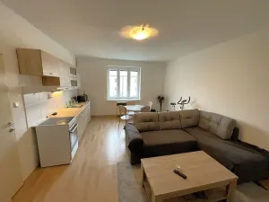 Pronájem bytu 1+kk, Plzeň, Guldenerova, 34 m2