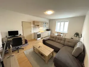 Pronájem bytu 1+kk, Plzeň, Guldenerova, 34 m2