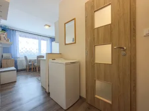 Pronájem bytu 1+1, Jirkov, SNP, 39 m2