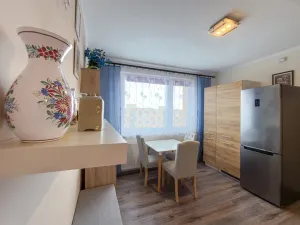 Pronájem bytu 1+1, Jirkov, SNP, 39 m2